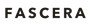 Fascera